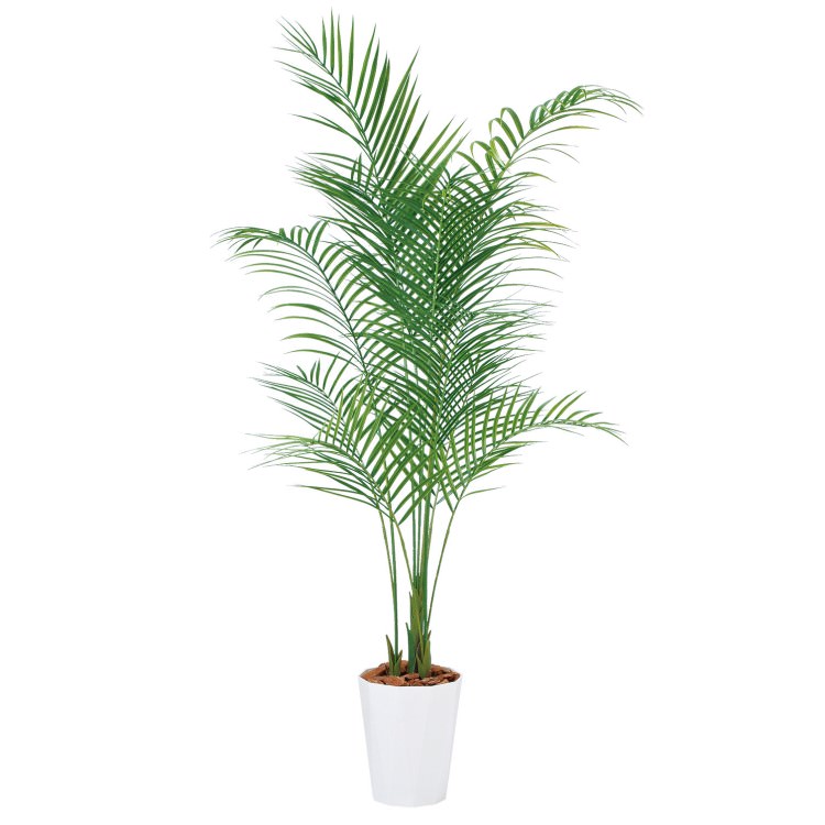 アレカヤシ PE W80×H180cm｜TK99156 アーティフィシャルグリーン 人工観葉植物 人工樹木 鉢付きグリーン