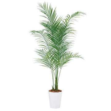 アレカヤシ PE W80×H180cm｜TK99156 アーティフィシャルグリーン 人工観葉植物 人工樹木 鉢付きグリーン