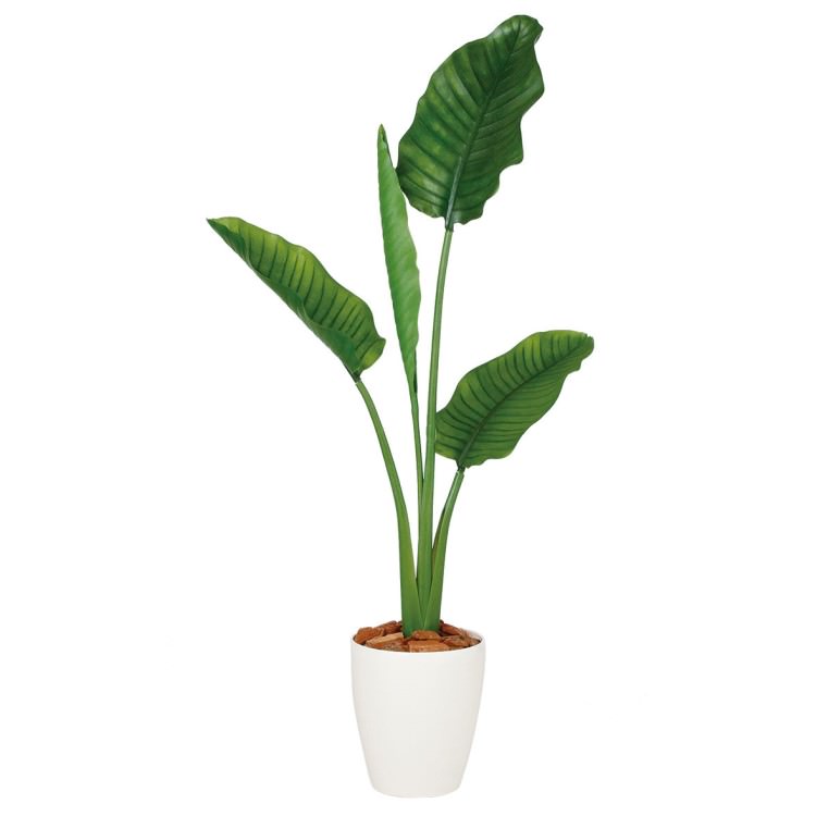 ストレリチア・オーガスタ W70×H130cm｜TK99169 アーティフィシャルグリーン 人工観葉植物 人工樹木 鉢付きグリーン