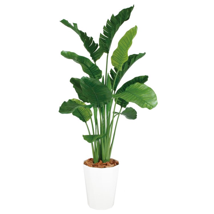 ストレリチア・オーガスタ MIX W110×H200cm｜TK99172 アーティフィシャルグリーン 人工観葉植物 人工樹木 鉢付きグリーン