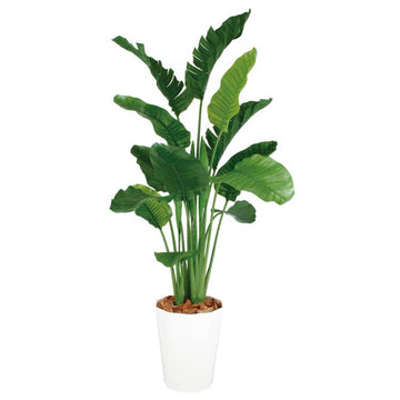 ストレリチア・オーガスタ MIX W110×H200cm｜TK99172 アーティフィシャルグリーン 人工観葉植物 人工樹木 鉢付きグリーン