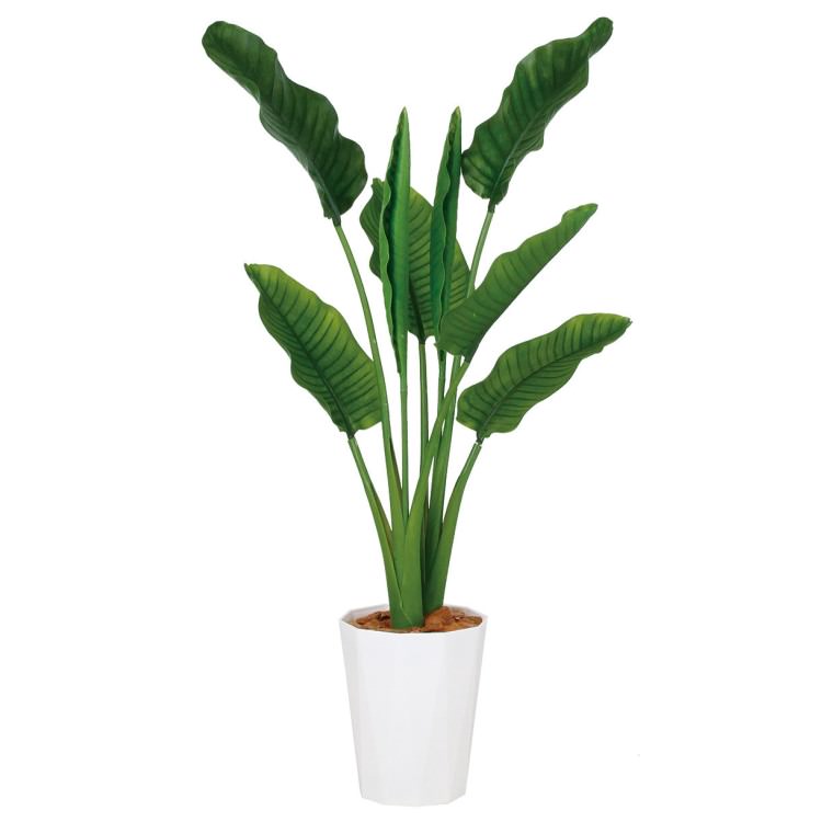 ストレリチア・オーガスタ MIX W90×H130cm｜TK99176 アーティフィシャルグリーン 人工観葉植物 人工樹木 鉢付きグリーン