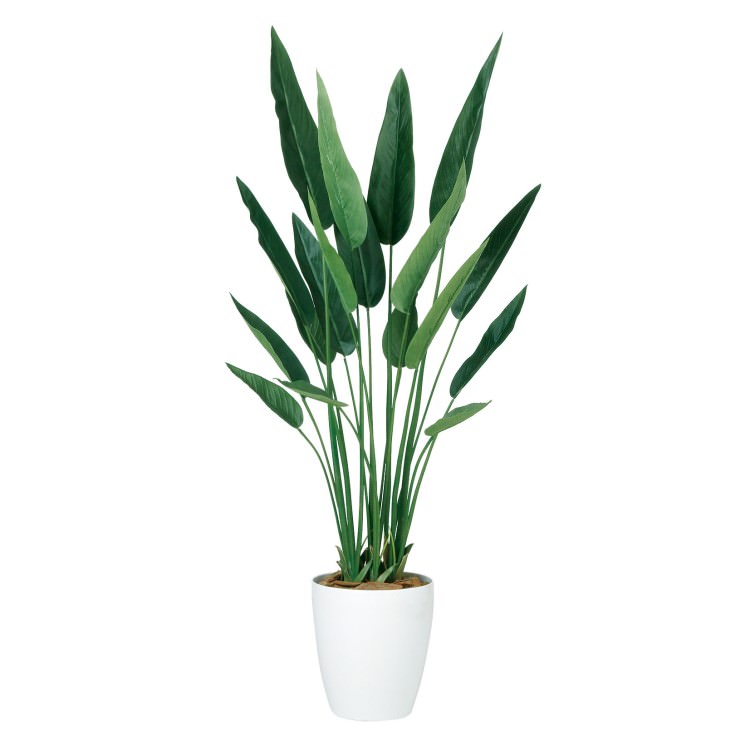ストレリチア・レギネ W70×H140cm｜TK99178 アーティフィシャルグリーン 人工観葉植物 人工樹木 鉢付きグリーン