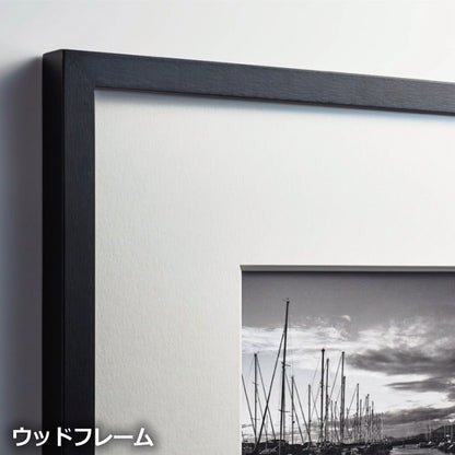 IGREBOW ハワイ ヤシの木と小島｜[ウッド 1×3] アイグレボウ インテリアフォト ピクチャーアート 写真