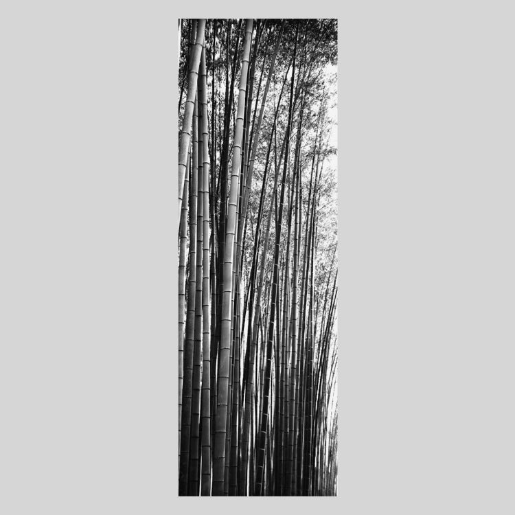 IGREBOW 京都 嵯峨野の竹林｜[ウッド 1×3] アイグレボウ インテリアフォト ピクチャーアート 写真