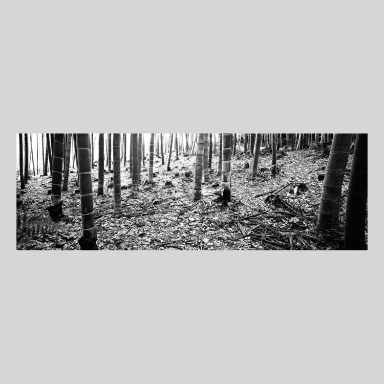 IGREBOW 京都 嵯峨野の竹林 ビッグサイズ｜[アルミ 1×3] アイグレボウ インテリアフォト ピクチャーアート 写真