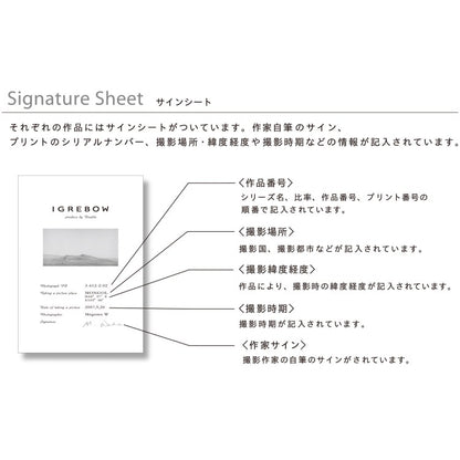 IGREBOW 京都 嵯峨野の竹林｜[ウッド 1×3] アイグレボウ インテリアフォト ピクチャーアート 写真