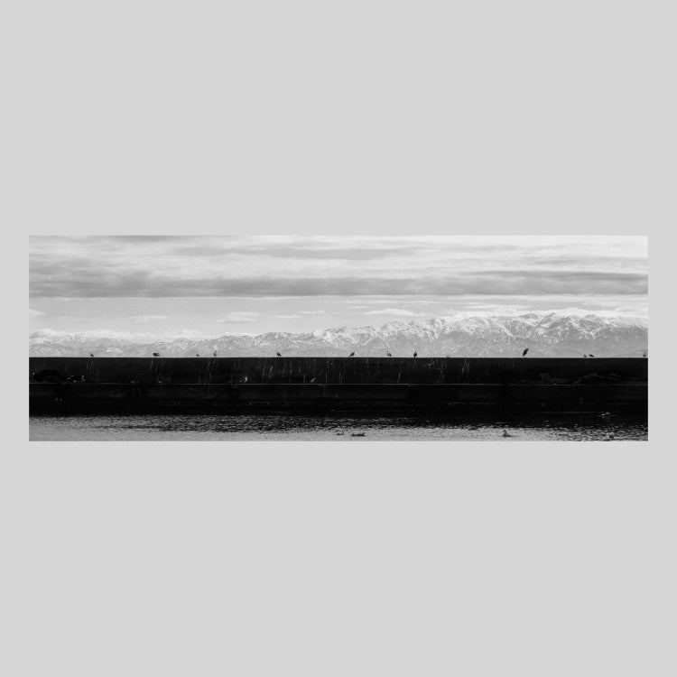 IGREBOW 石川県 能登島 防波堤のカモメと立山連峰｜[ウッド 1×3] アイグレボウ インテリアフォト ピクチャーアート 写真