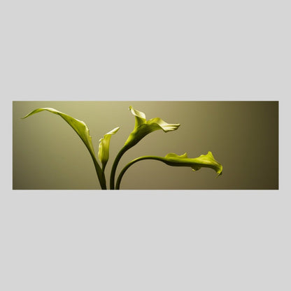 IGREBOW カラーの花 ビッグサイズ｜[ウッド 1×3] アイグレボウ インテリアフォト ピクチャーアート 写真