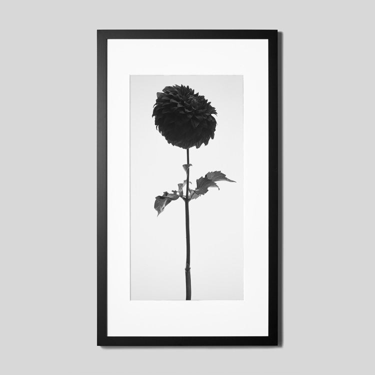 IGREBOW ダリアの花 ビッグサイズ｜[ウッド 1×2] アイグレボウ インテリアフォト ピクチャーアート 写真