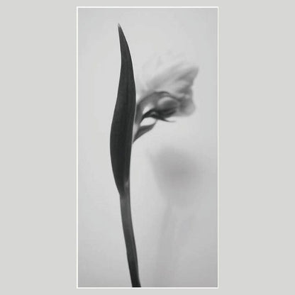 IGREBOW チューリップの花 ビッグサイズ｜[アルミ 1×2] アイグレボウ インテリアフォト ピクチャーアート 写真