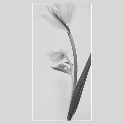 IGREBOW チューリップの花 ビッグサイズ｜[ウッド 1×2] アイグレボウ インテリアフォト ピクチャーアート 写真