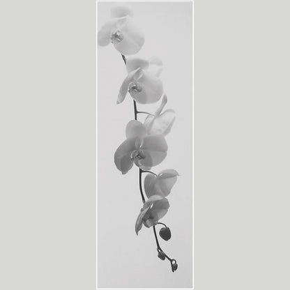 IGREBOW ランの花 ビッグサイズ｜[アルミ 1×3] アイグレボウ インテリアフォト ピクチャーアート 写真