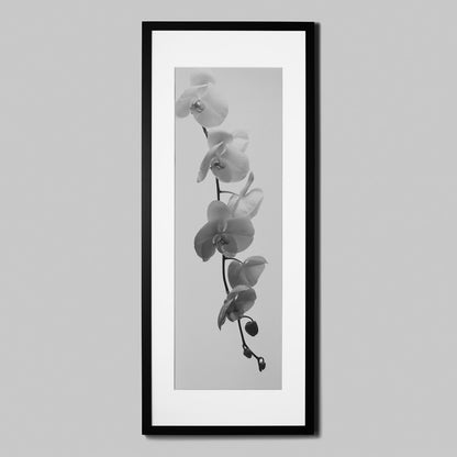 IGREBOW ランの花 ビッグサイズ｜[ウッド 1×3] アイグレボウ インテリアフォト ピクチャーアート 写真