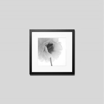 IGREBOW ダリアの花 ビッグサイズ｜[ウッド 1×1] アイグレボウ インテリアフォト ピクチャーアート 写真