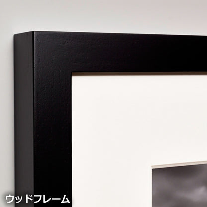 IGREBOW ダリアの花 ビッグサイズ｜[ウッド 1×1] アイグレボウ インテリアフォト ピクチャーアート 写真