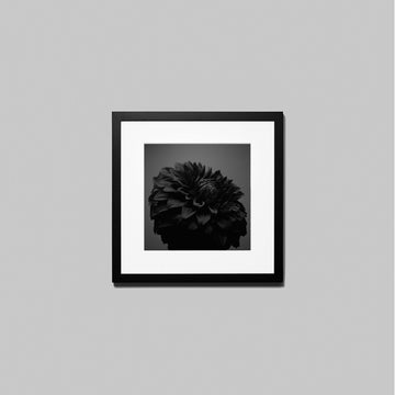 IGREBOW ダリアの花 ビッグサイズ｜[ウッド 1×1] アイグレボウ インテリアフォト ピクチャーアート 写真