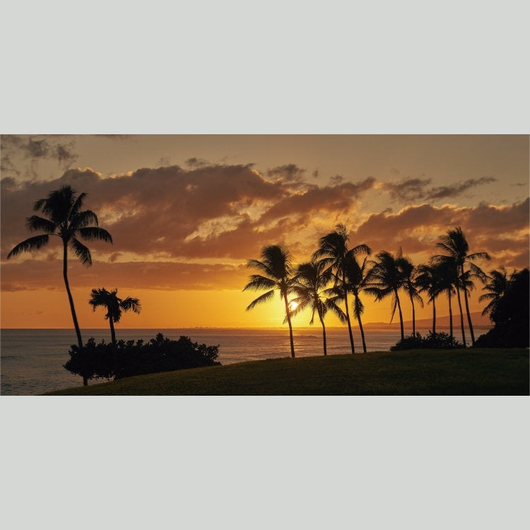 IGREBOW ハワイ カカアコ 夕日に染まる海とヤシの木｜[ウッド 1×2] アイグレボウ インテリアフォト ピクチャーアート 写真