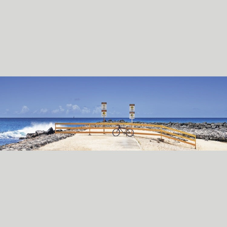 IGREBOW ハワイ 海の風景 アラモアナビーチパーク｜[ウッド 1×3] アイグレボウ インテリアフォト ピクチャーアート 写真