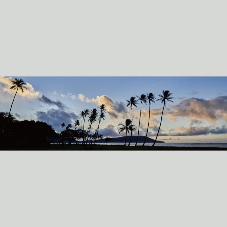 IGREBOW ハワイ 夜明けの海 ヤシの木のある風景 ビッグサイズ｜[ウッド 1×3] アイグレボウ インテリアフォト ピクチャーアート 写真