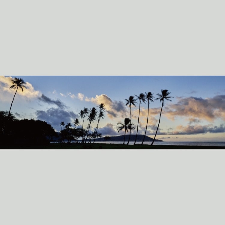 IGREBOW ハワイ 夜明けの海 ヤシの木のある風景｜[アルミ 1×3] アイグレボウ インテリアフォト ピクチャーアート 写真