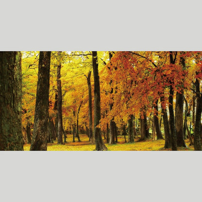 IGREBOW 北海道 紅葉に染まる洞爺湖畔｜[和紙 1×2] アイグレボウ インテリアフォト ピクチャーアート 写真