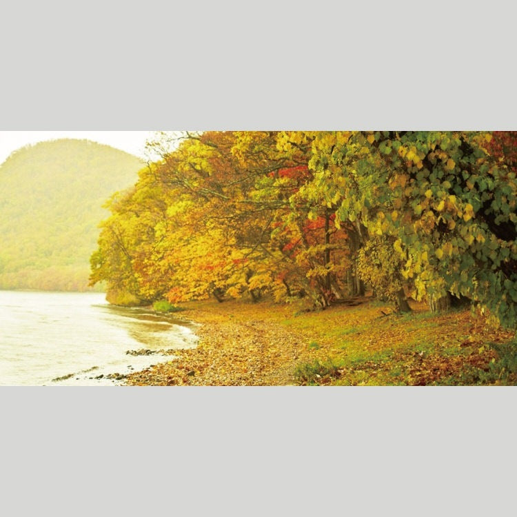 IGREBOW 北海道 紅葉に染まる洞爺湖畔 ビッグサイズ｜[アルミ 1×2] アイグレボウ インテリアフォト ピクチャーアート 写真