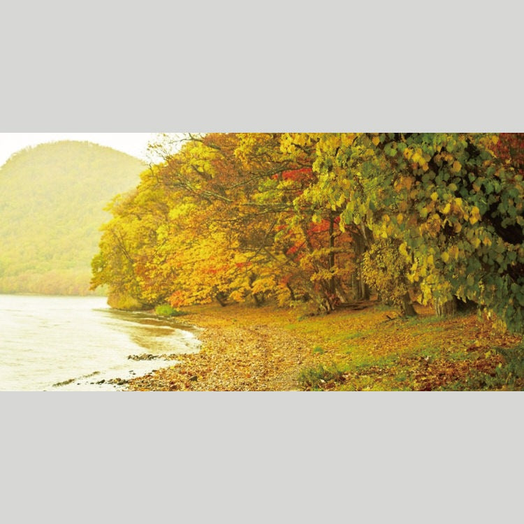 IGREBOW 北海道 紅葉に染まる洞爺湖畔｜[ウッド 1×2] アイグレボウ インテリアフォト ピクチャーアート 写真