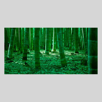 IGREBOW 京都 嵯峨野の竹林 ビッグサイズ｜[ウッド 1×2] アイグレボウ インテリアフォト ピクチャーアート 写真
