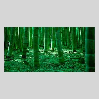 IGREBOW 京都 嵯峨野の竹林｜[ウッド 1×2] アイグレボウ インテリアフォト ピクチャーアート 写真