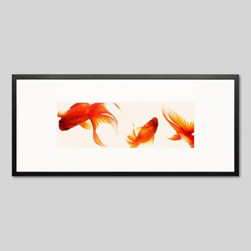IGREBOW 金魚｜[ウッド 1×3] アイグレボウ インテリアフォト ピクチャーアート 写真