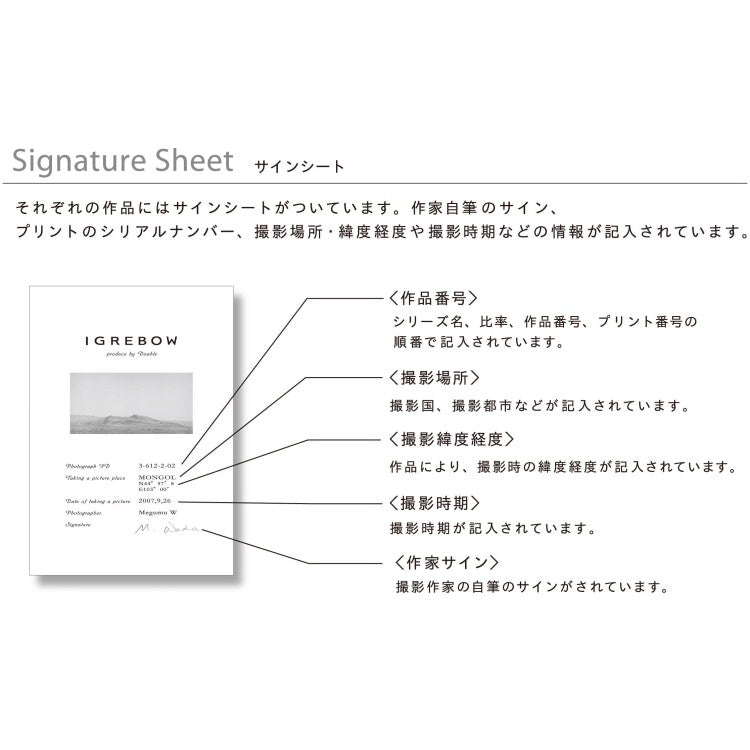 IGREBOW 石川県能登島 堤防の木と立山連峰｜[アルミ 1×3] アイグレボウ インテリアフォト ピクチャーアート 写真
