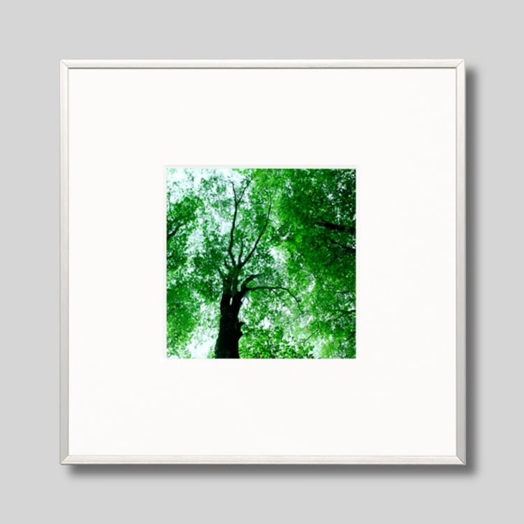 IGREBOW 長野県 奥裾花の森 ビッグサイズ｜[アルミ 1×1] アイグレボウ インテリアフォト ピクチャーアート 写真