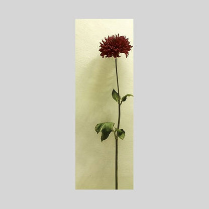 IGREBOW ダリアの花｜[ウッド 1×3] アイグレボウ インテリアフォト ピクチャーアート 写真