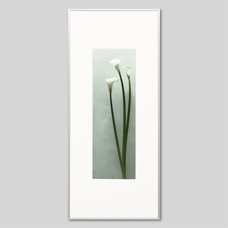IGREBOW カラーの花 ビッグサイズ｜[アルミ 1×3] アイグレボウ インテリアフォト ピクチャーアート 写真