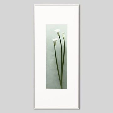 IGREBOW カラーの花 ビッグサイズ｜[アルミ 1×3] アイグレボウ インテリアフォト ピクチャーアート 写真