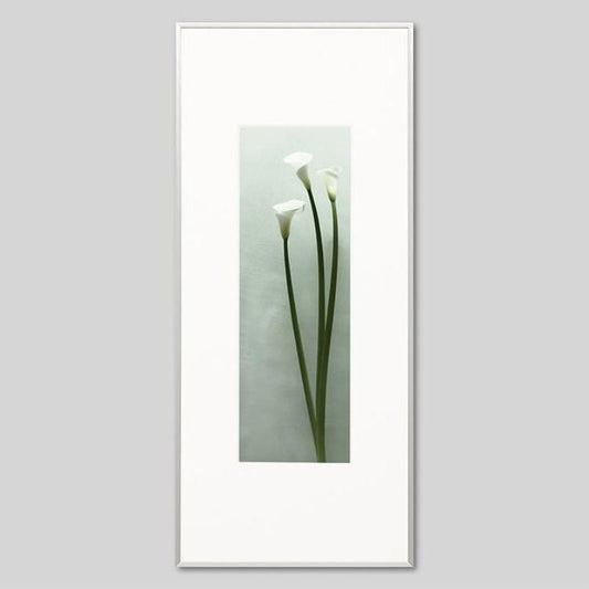 IGREBOW カラーの花 ビッグサイズ｜[アルミ 1×3] アイグレボウ インテリアフォト ピクチャーアート 写真
