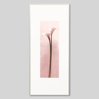 IGREBOW カラーの花 ビッグサイズ｜[アルミ 1×3] アイグレボウ インテリアフォト ピクチャーアート 写真