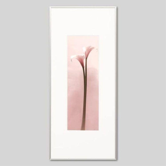 IGREBOW カラーの花 ビッグサイズ｜[アルミ 1×3] アイグレボウ インテリアフォト ピクチャーアート 写真