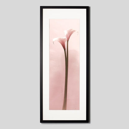 IGREBOW カラーの花 ビッグサイズ｜[ウッド 1×3] アイグレボウ インテリアフォト ピクチャーアート 写真