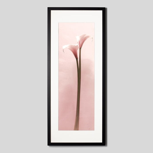 IGREBOW カラーの花 ビッグサイズ｜[ウッド 1×3] アイグレボウ インテリアフォト ピクチャーアート 写真