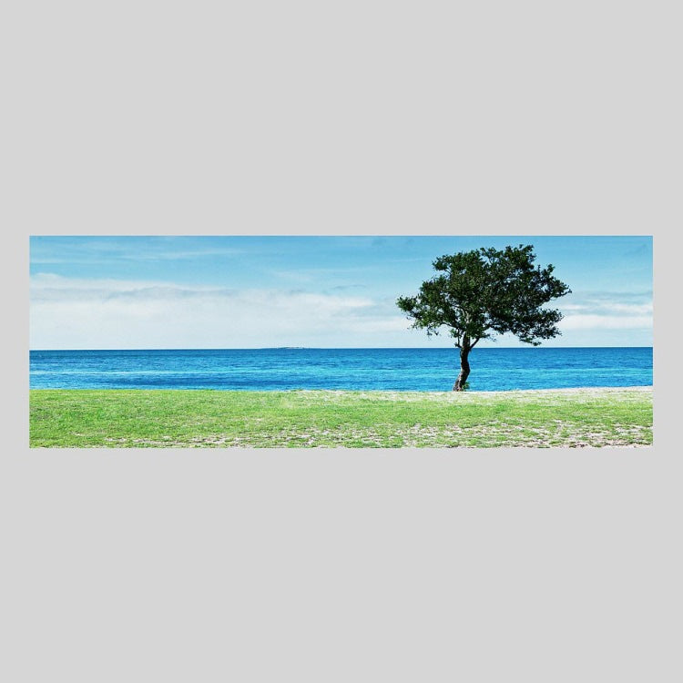 IGREBOW ニューカレドニア 海辺に生える木｜[ウッド 1×3] アイグレボウ インテリアフォト ピクチャーアート 写真