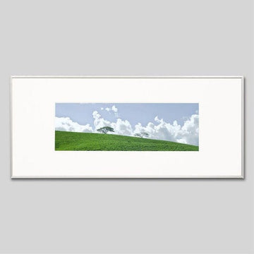 IGREBOW ニューカレドニア グランドテール島中部 草原の風景 ビッグサイズ｜[アルミ 1×3] アイグレボウ インテリアフォト ピクチャーアート 写真