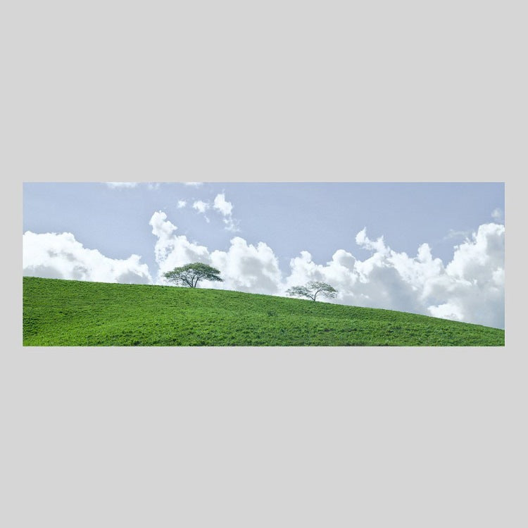 IGREBOW ニューカレドニア グランドテール島中部 草原の風景｜[アルミ 1×3] アイグレボウ インテリアフォト ピクチャーアート 写真