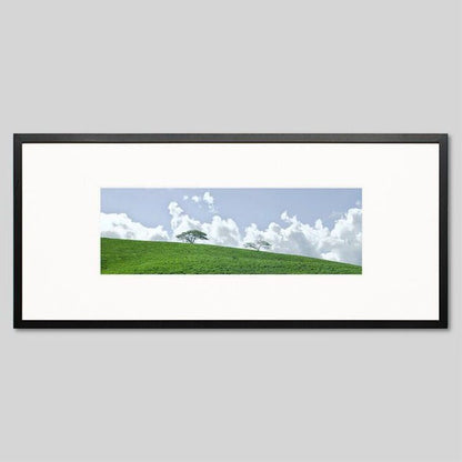 IGREBOW ニューカレドニア グランドテール島中部 草原の風景｜[ウッド 1×3] アイグレボウ インテリアフォト ピクチャーアート 写真
