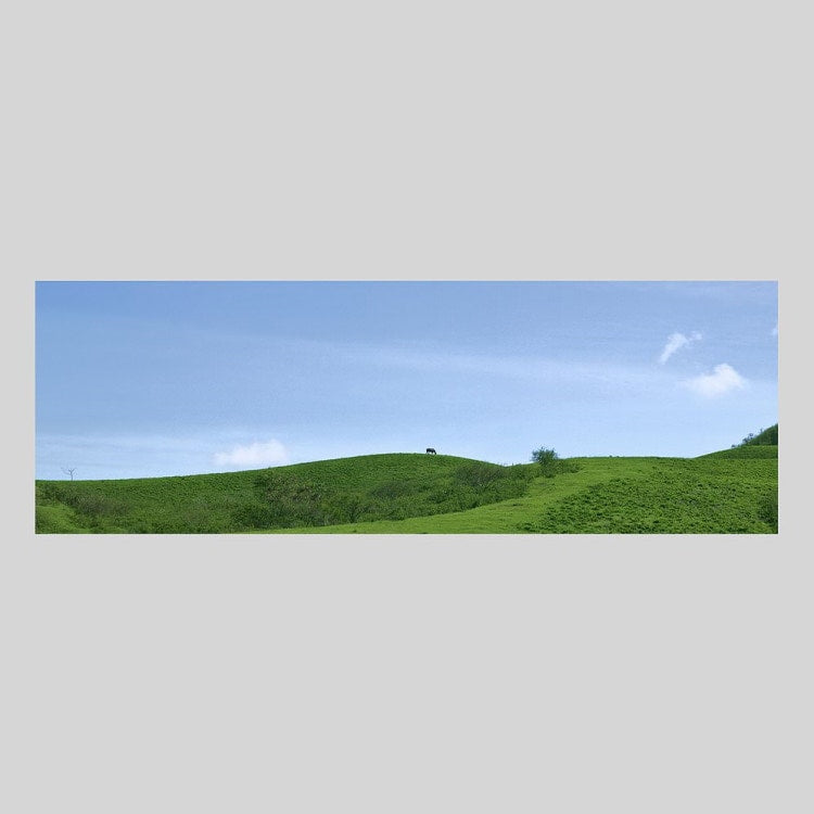 IGREBOW ニューカレドニア グランドテール島中部 放牧の風景｜[ウッド 1×3] アイグレボウ インテリアフォト ピクチャーアート 写真