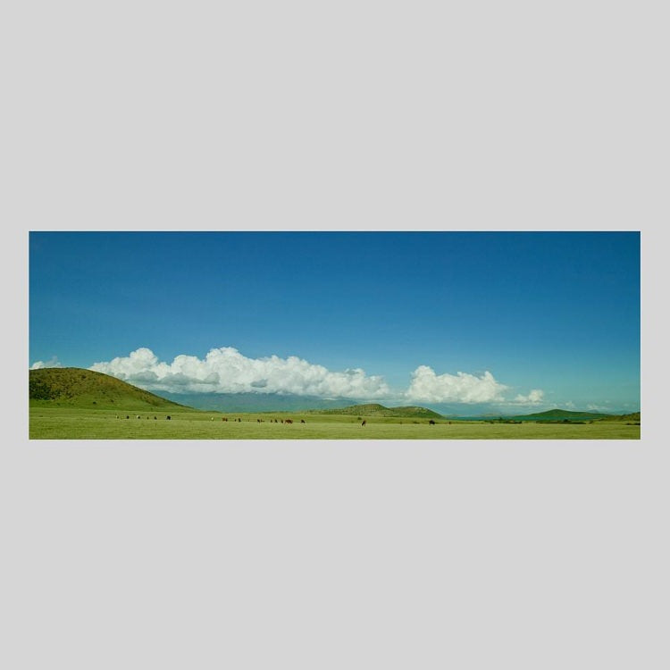 IGREBOW ニューカレドニア グランドテール島中部 放牧の風景 ビッグサイズ｜[アルミ 1×3] アイグレボウ インテリアフォト ピクチャーアート 写真
