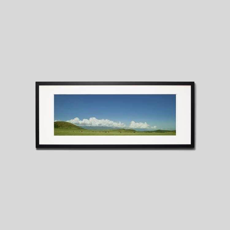 IGREBOW ニューカレドニア グランドテール島中部 放牧の風景 ビッグサイズ｜[ウッド 1×3] アイグレボウ インテリアフォト ピクチャーアート 写真