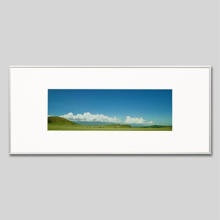 IGREBOW ニューカレドニア グランドテール島中部 放牧の風景｜[アルミ 1×3] アイグレボウ インテリアフォト ピクチャーアート 写真