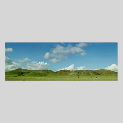 IGREBOW ニューカレドニア グランドテール島中部 放牧の風景 ビッグサイズ｜[アルミ 1×3] アイグレボウ インテリアフォト ピクチャーアート 写真